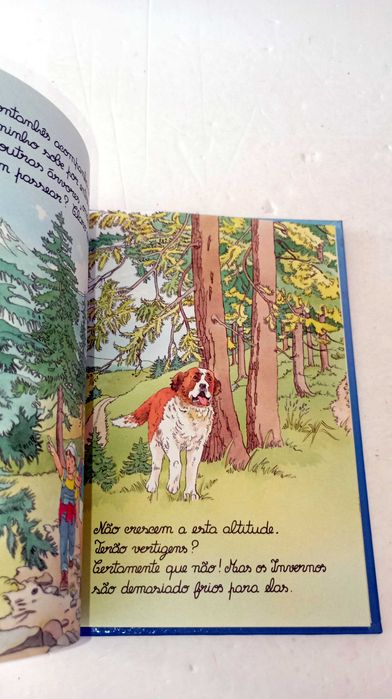 A Montanha - A Pequena Enciclopédia dos 4 aos 7 anos