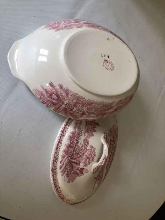 Terrina loica Sacavem