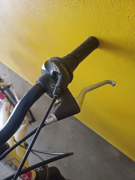 Bicicleta de montanha