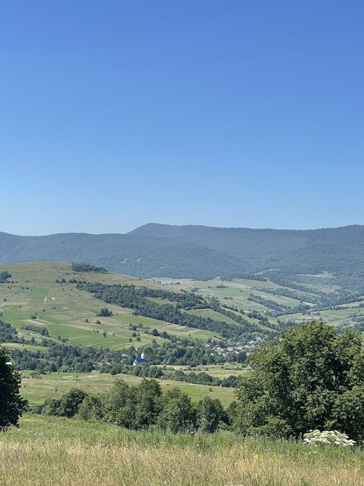 Апартаменти в Сонячному Закарпатті