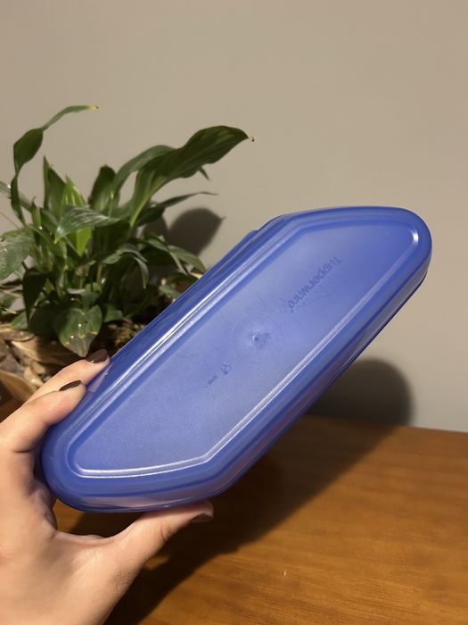Caixa ovos tupperware