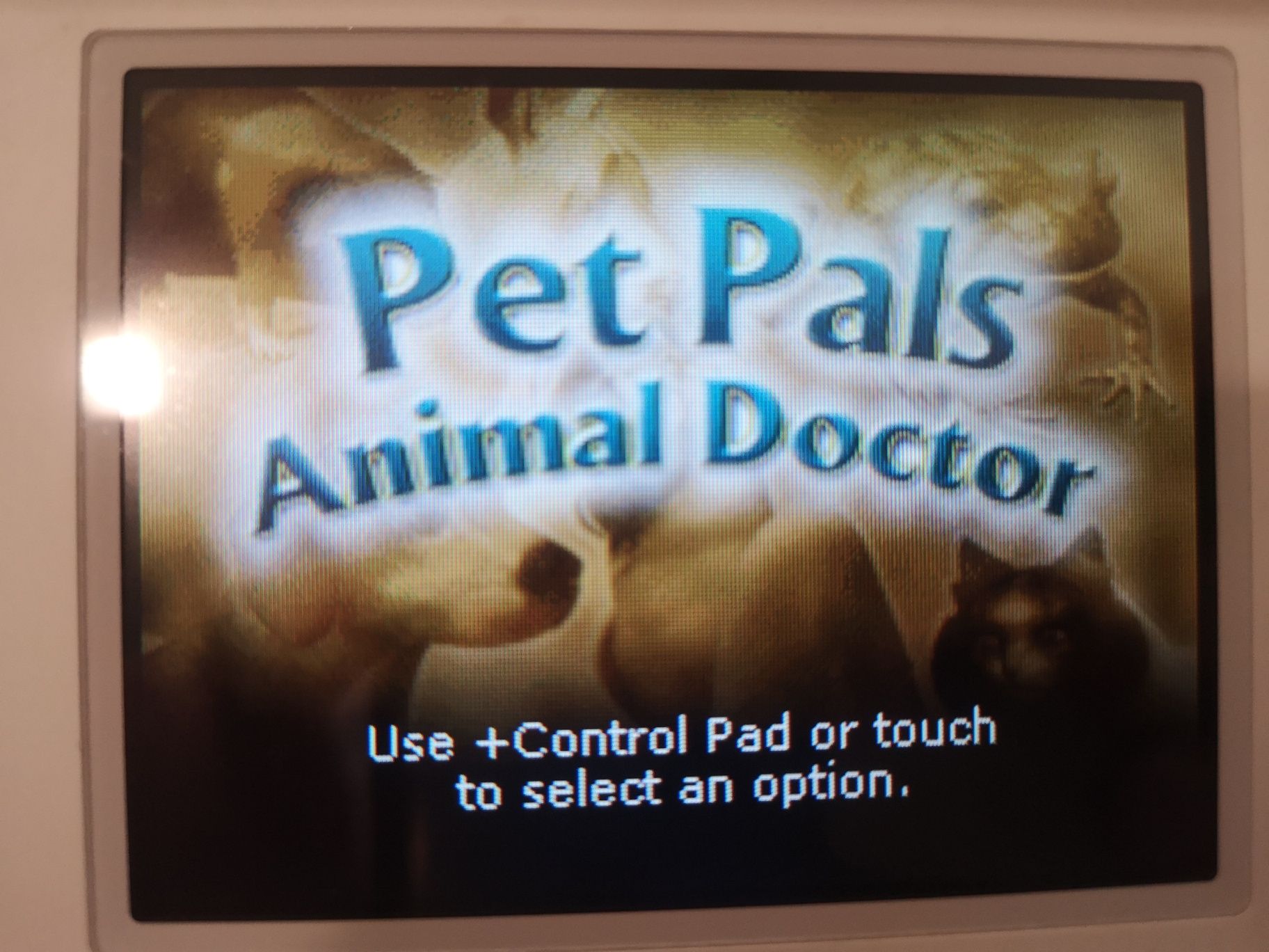Pet Pals Animal Doctor NINTENDO DS gra (wyd. amerykańskie)