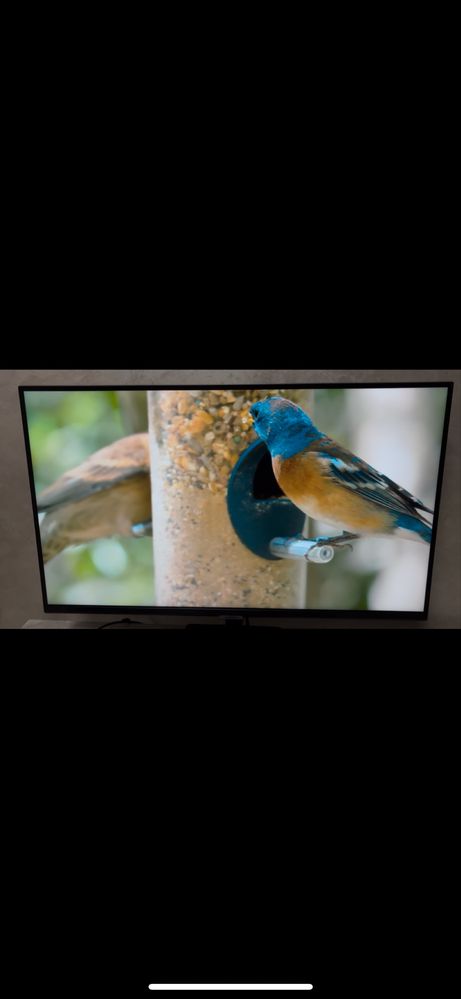Монітор samsung смарт M7