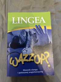 Lingea Słownik slangu i potocznej angielszczyzny