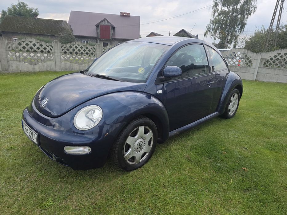 Volkswagen new betle