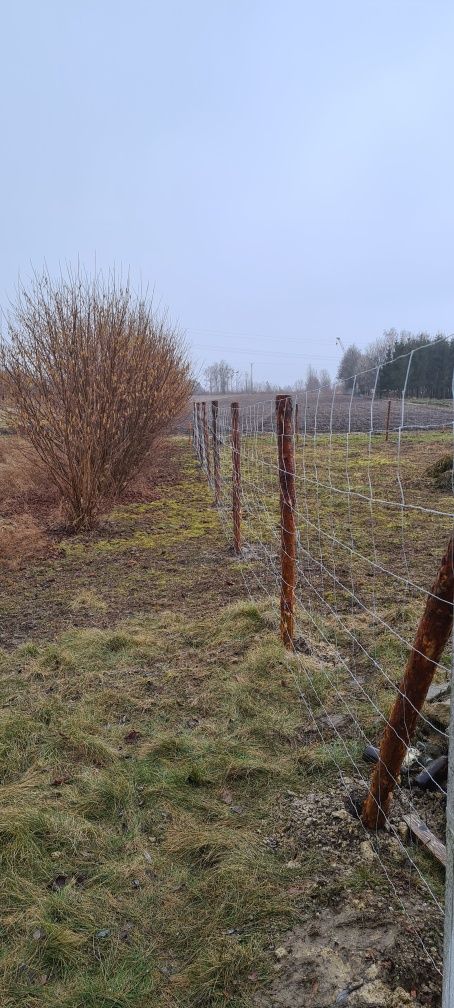 Ogrodzenie budowlane, ogrodzenie tymczasowe, ogrodzenie leśne