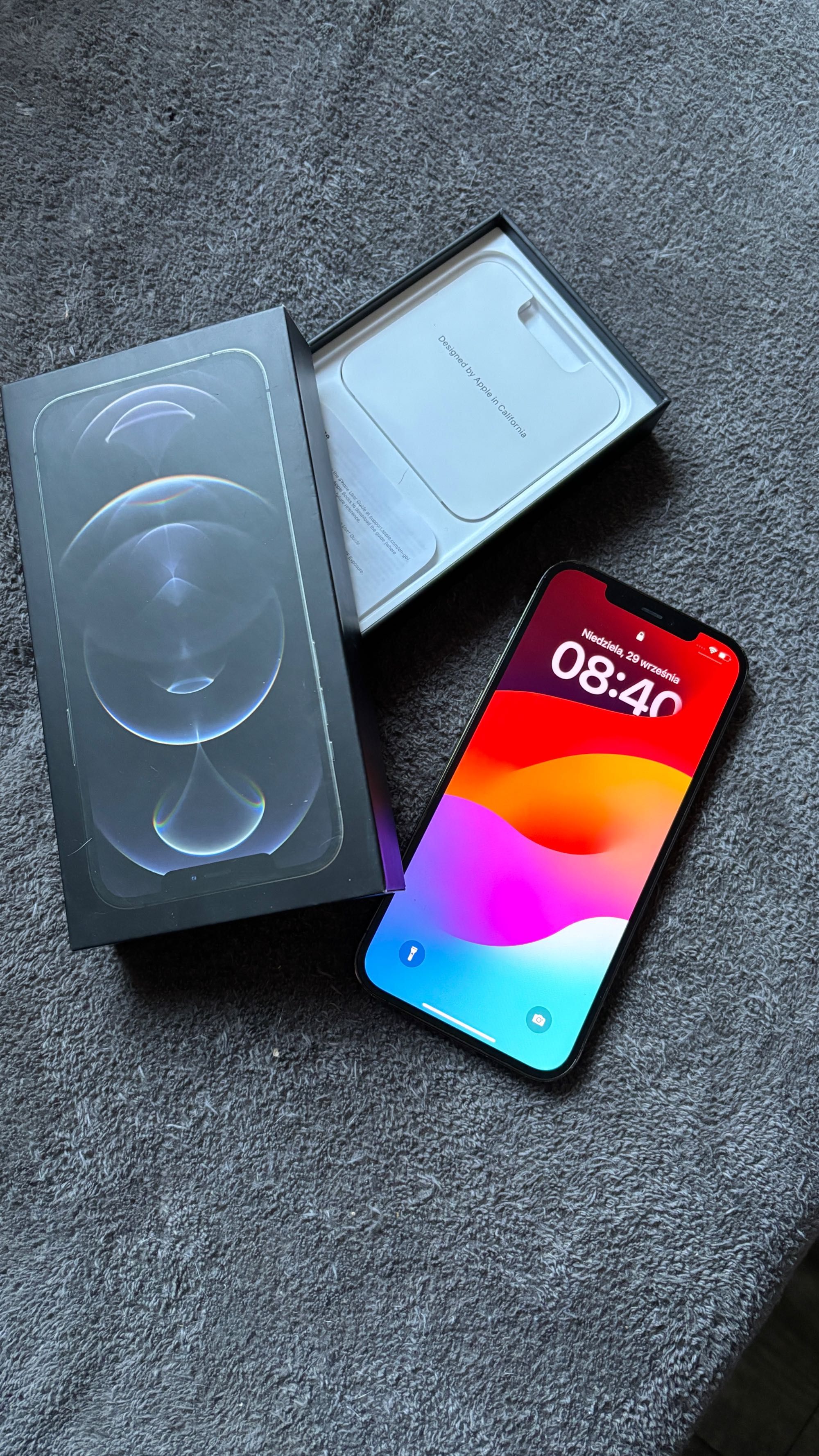 iPhone 12 Pro Max 256 GB