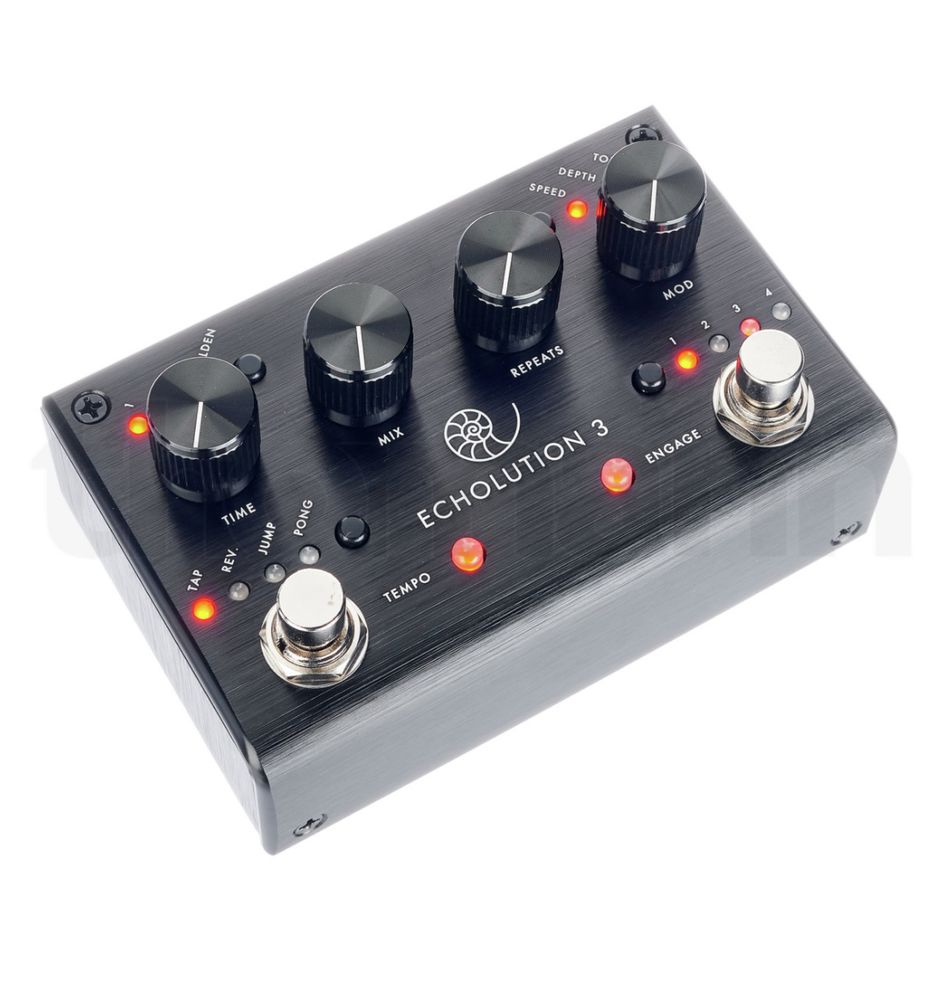 Pogtronix Echolution 3 Delay (ідеальний стан)