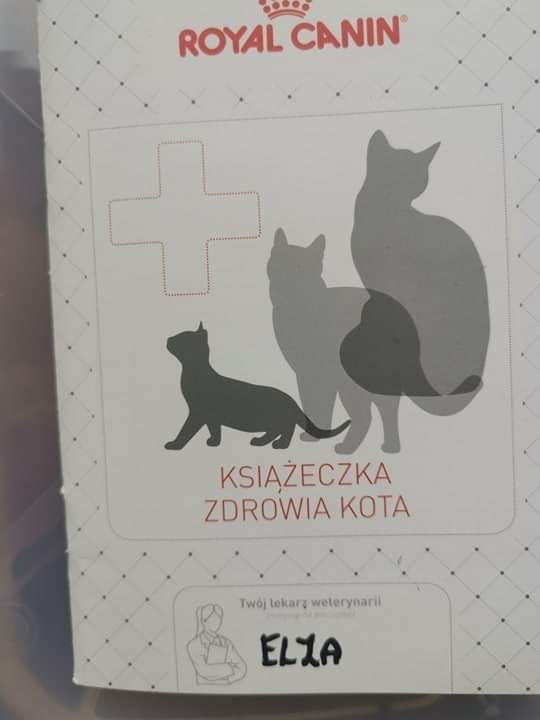 Mleko dla ‼️ Szczeniat • Psów • Kociąt • Kotów, Fretek i innych saków.