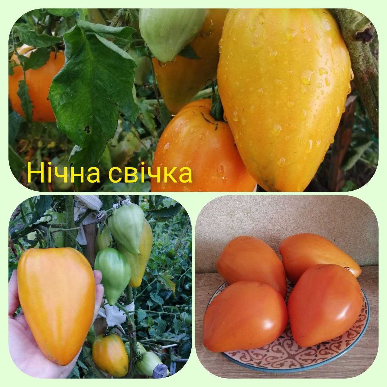 Семена желтых томатов, помидор