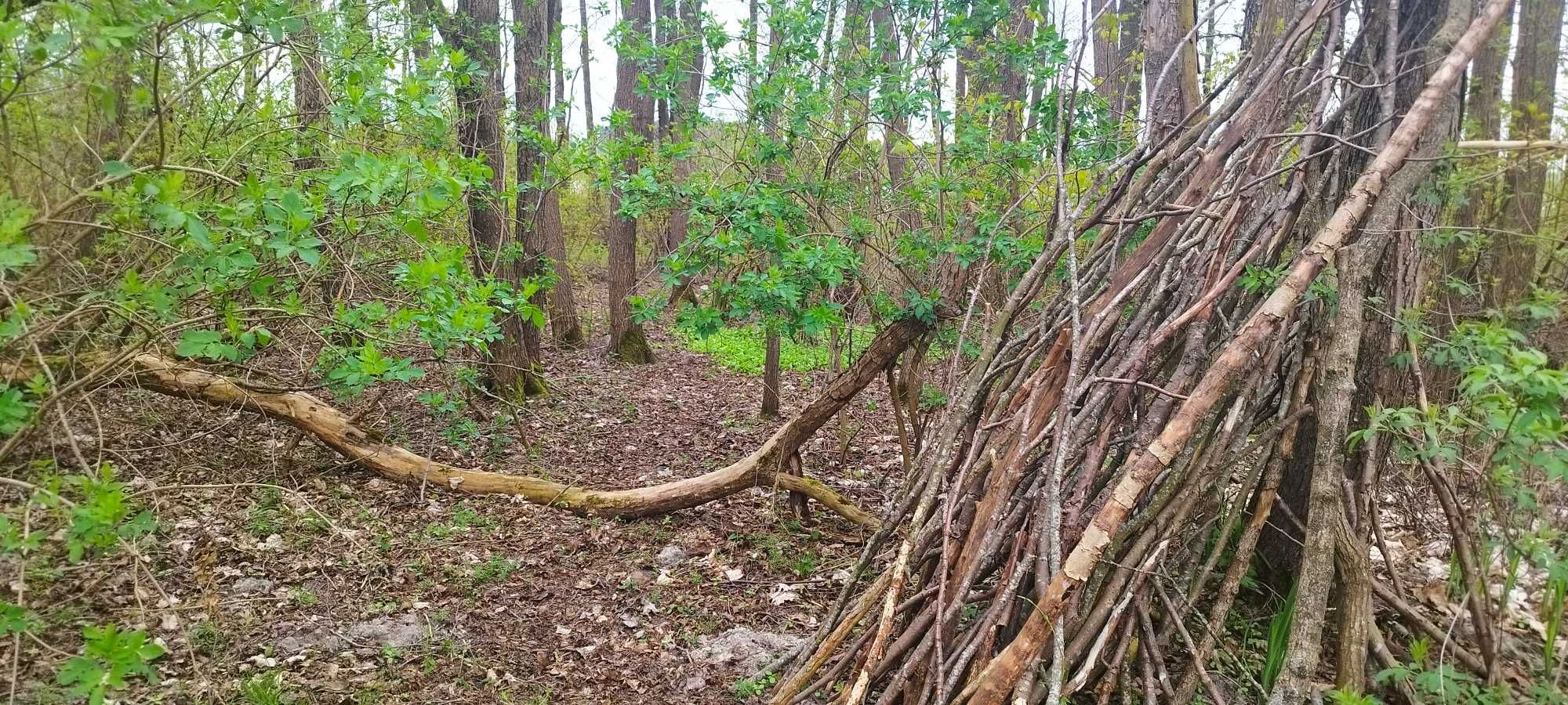 Działka wynajem dzierżawa nad jeziorem Mazury Mikołajki majówka