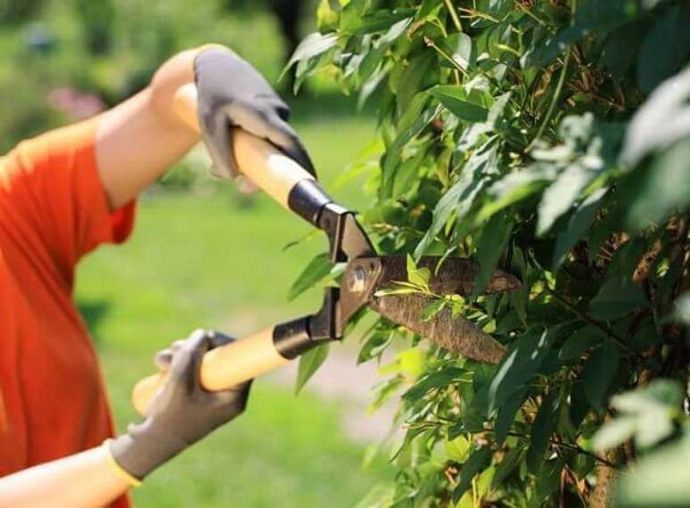 Servico de jardinagem e limpezas
