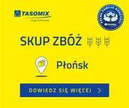 Skupy zboża – atrakcyjne ceny – Płońsk