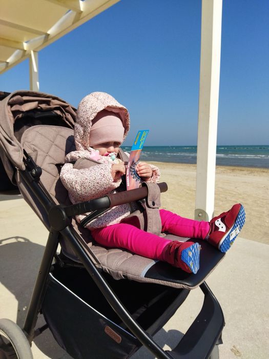 Прогулянкова коляска Carrello Bravo 2021 CRL-8512