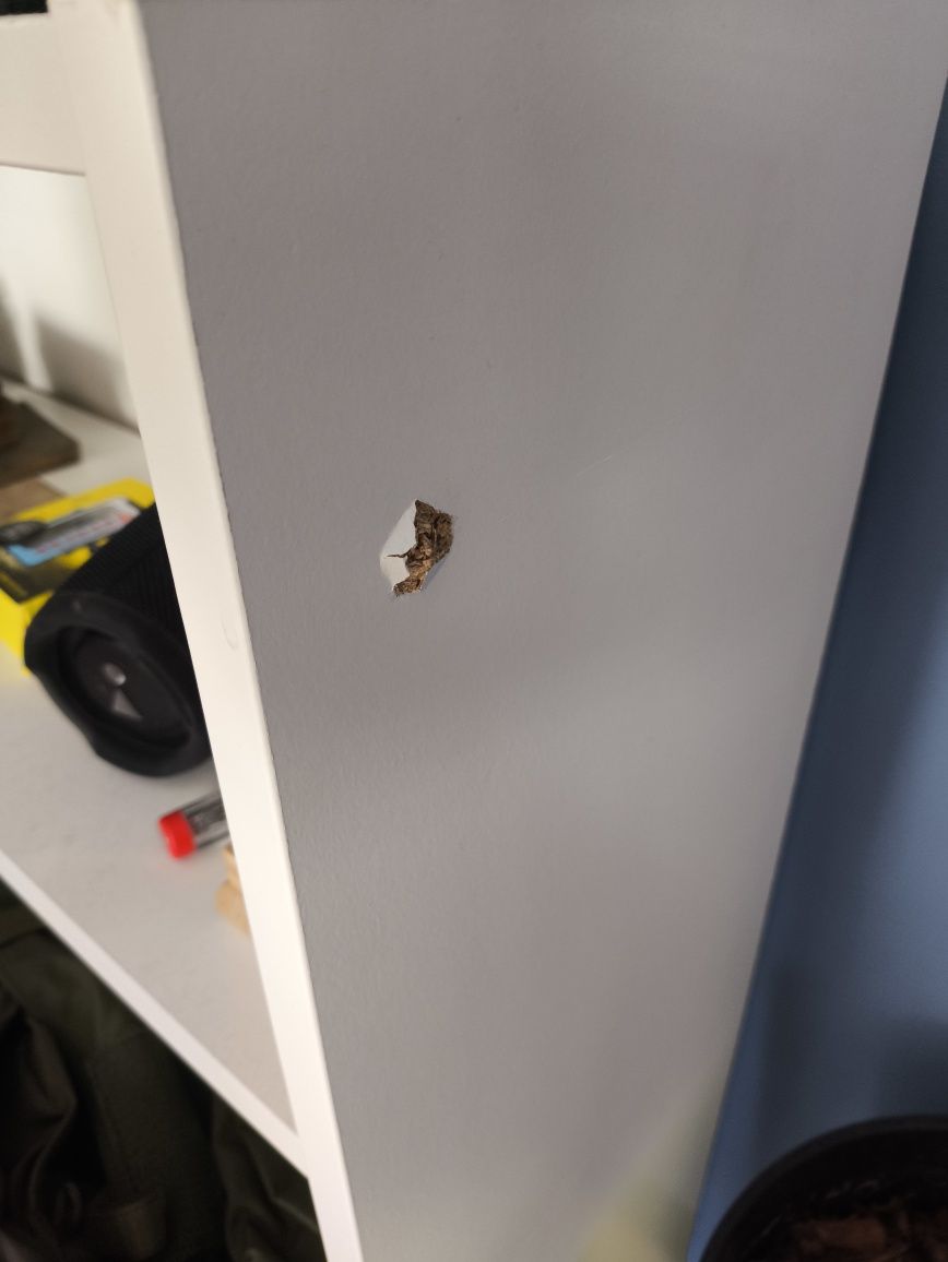 Regał IKEA Biały