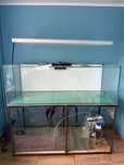 Akwarium (714 litrow) plus sump