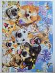 Puzzle Educa 500 niekompletne