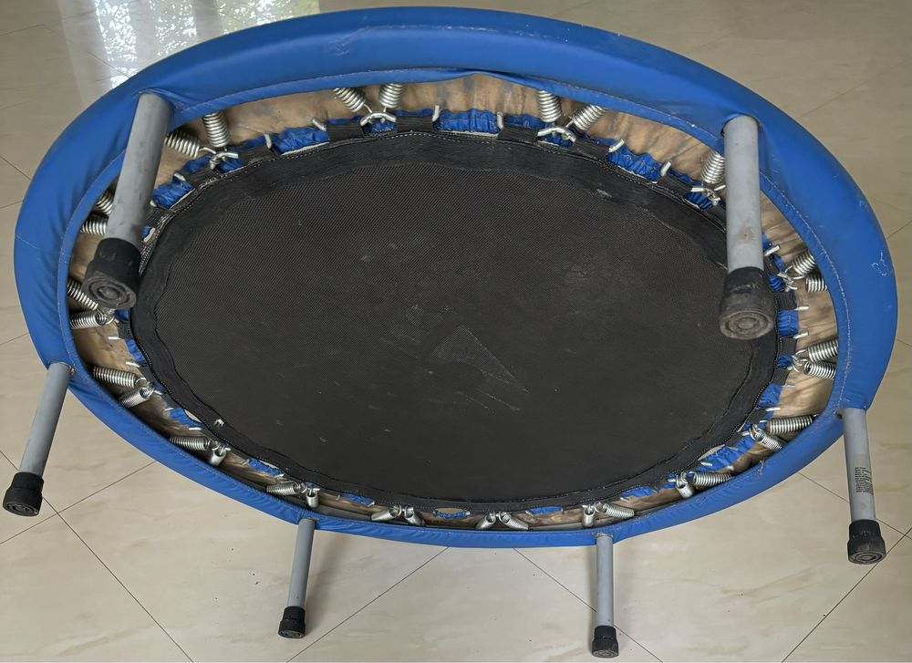 Trampolina trampolina