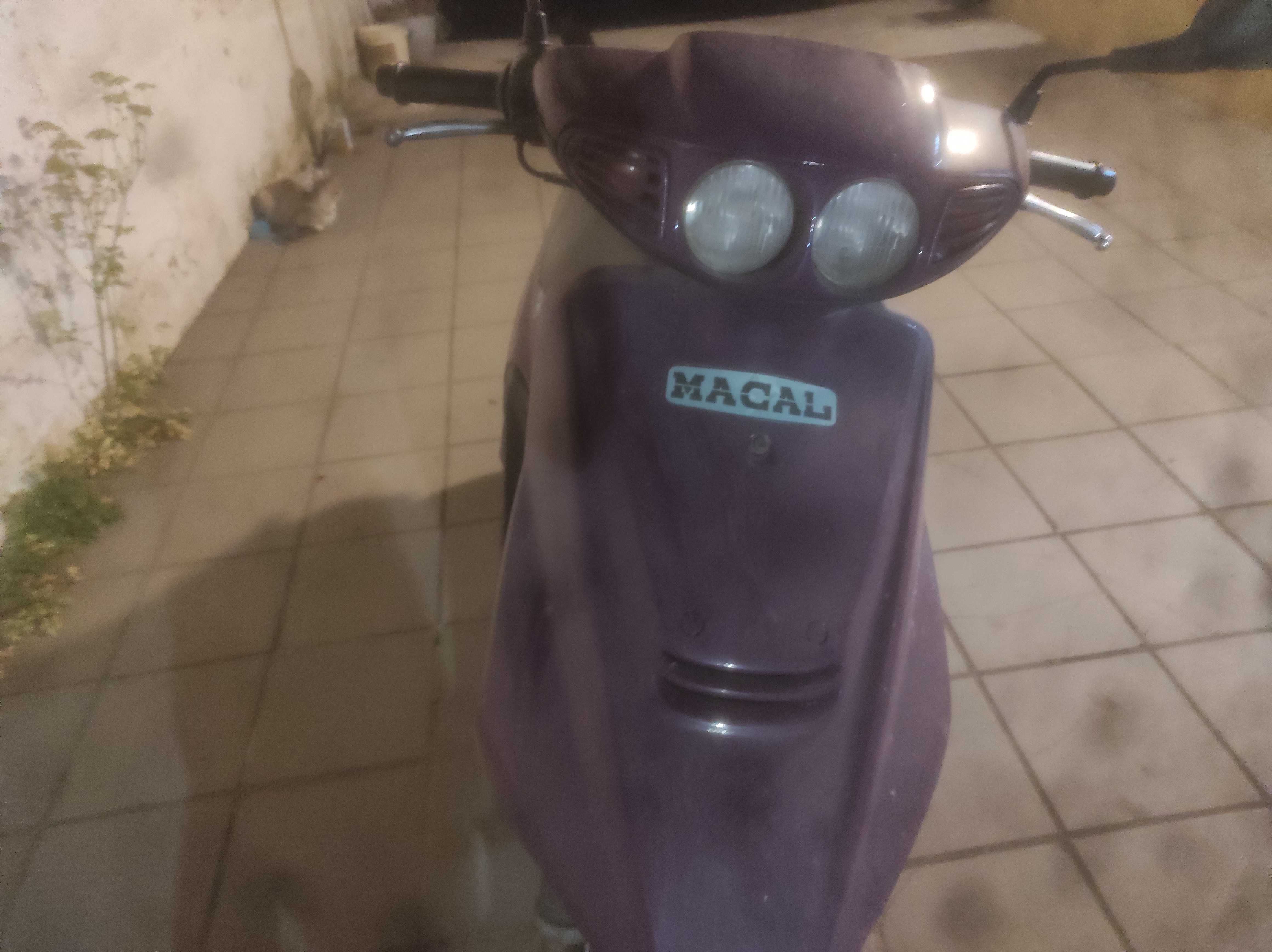 Macal thunder para venda