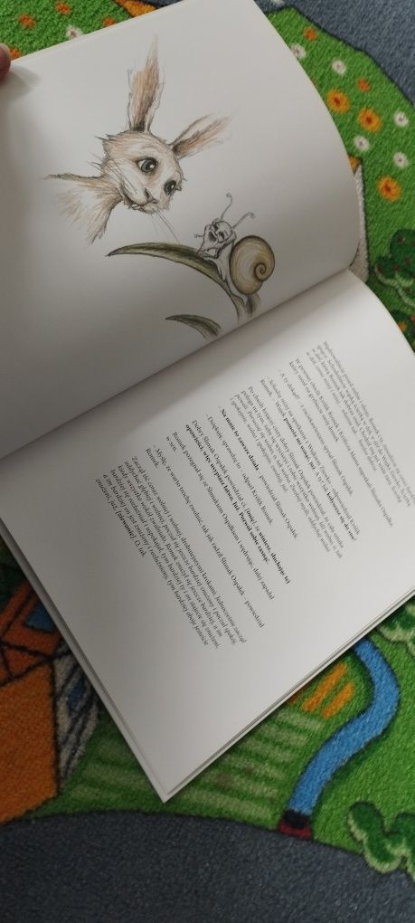 Książka Bajka O króliku, który chce zasnąć