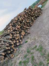 Drewno drzewo dąb drab