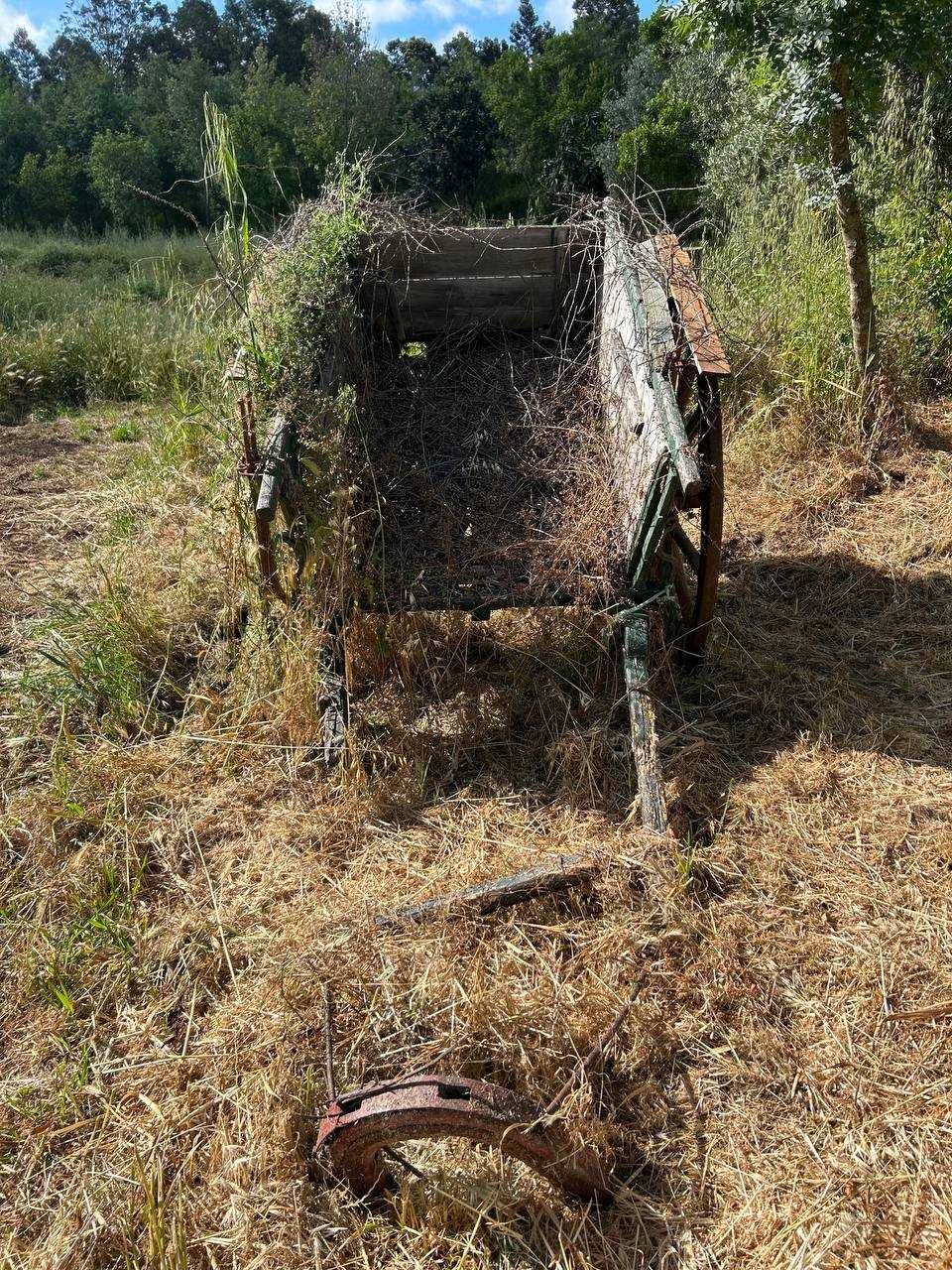 Carroça de boi antiga
