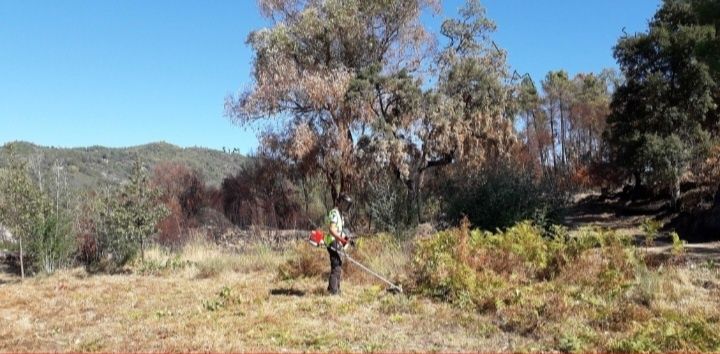 Jardinar 100 complicar - serviços jardinagem