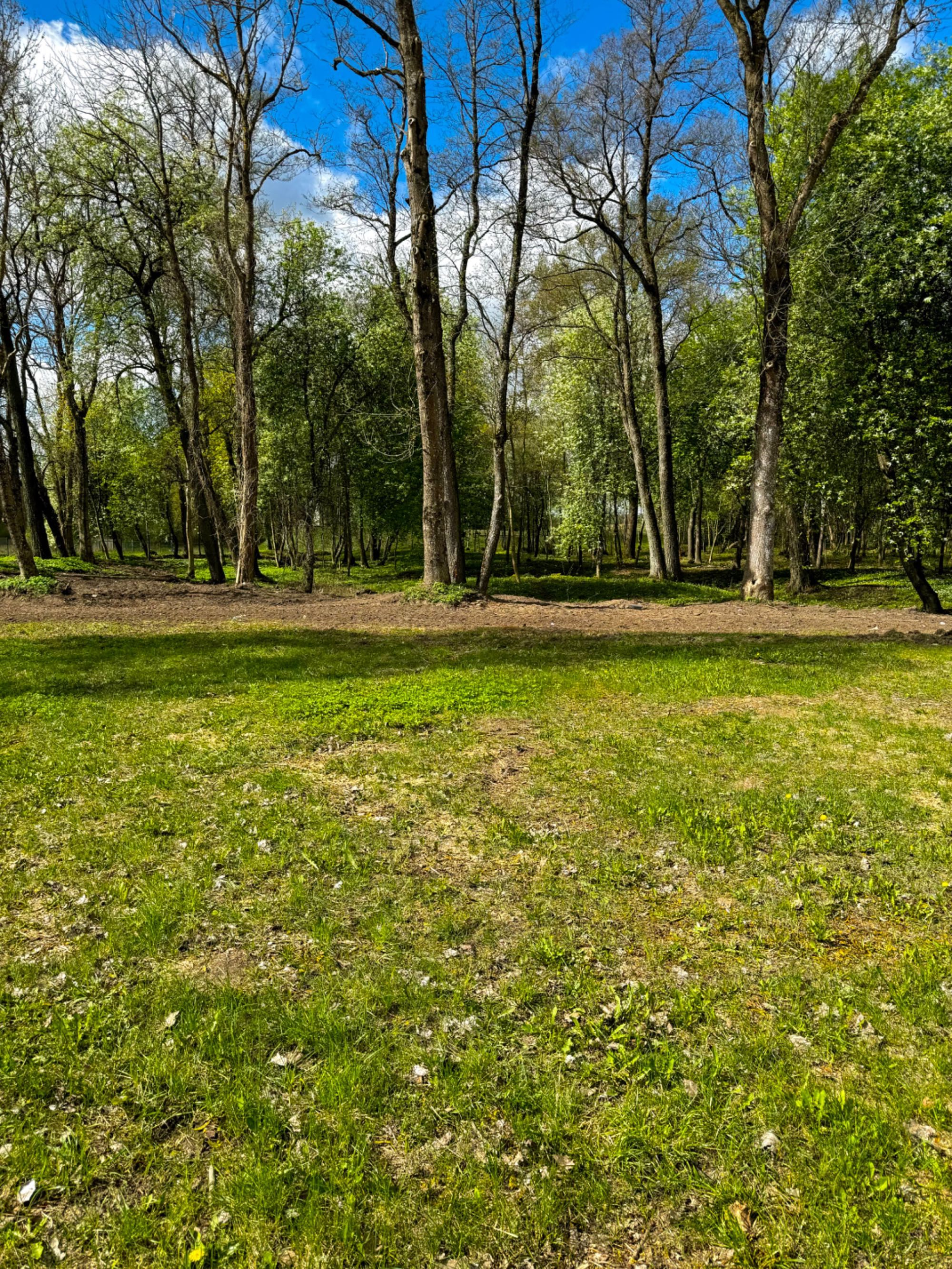 Działka budowlana z lasem, bez pośredników