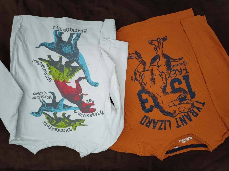 Zestaw 5) wiosna-jesień,długi rękaw bluzki bluzy koszula kurtka r. 110