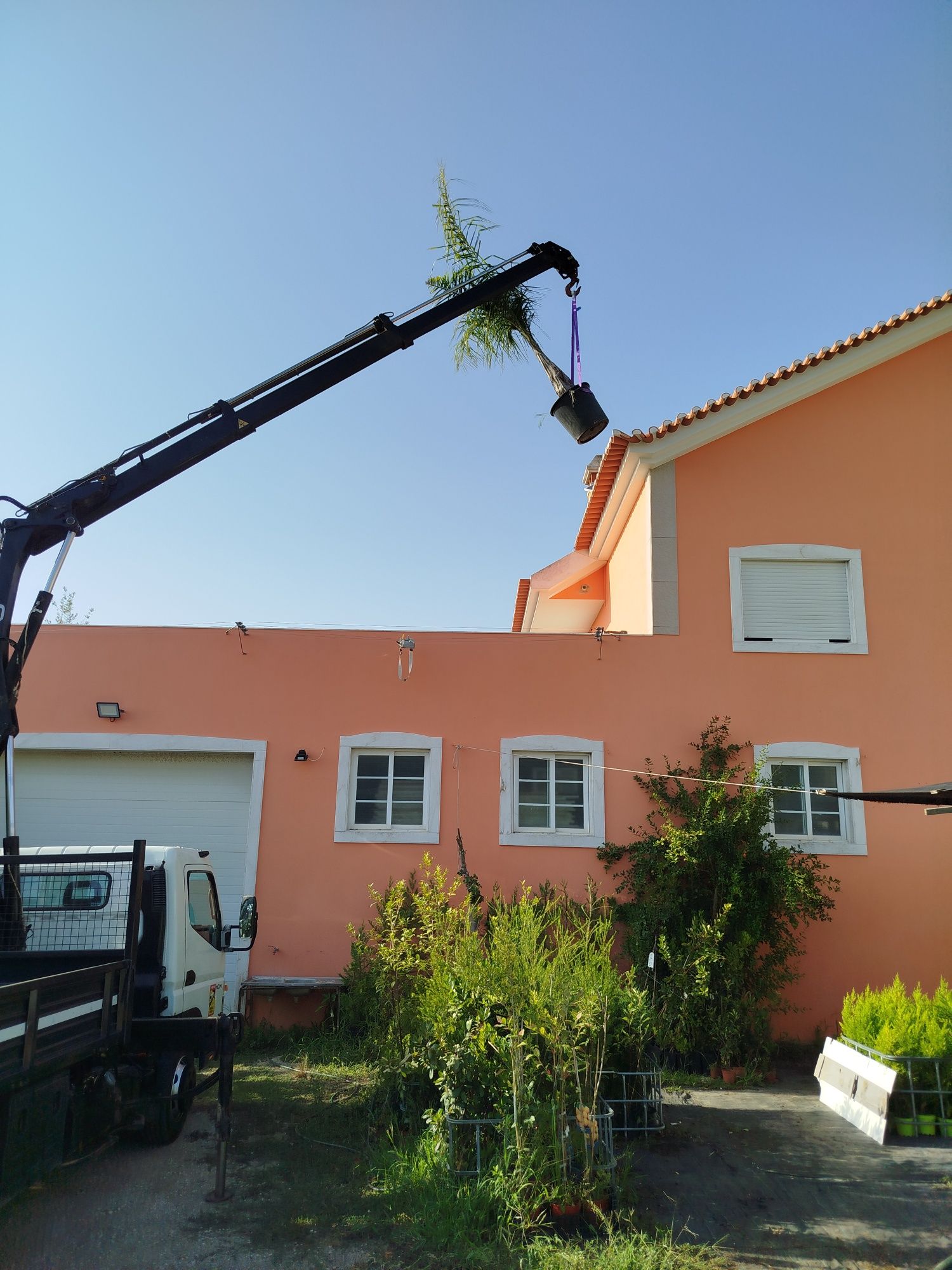 Serviço de grua e carrinha