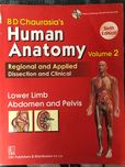 Анатомія Anatomy