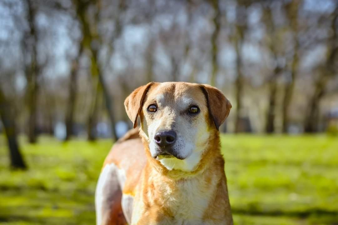 Kiedy najbardziej potrzebował opieki, został zupełnie sam..