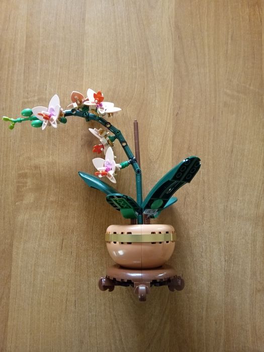 LEGO Orchidea 10343 Botanical