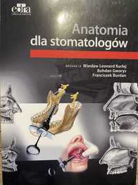 Anatomia dla stomatologów