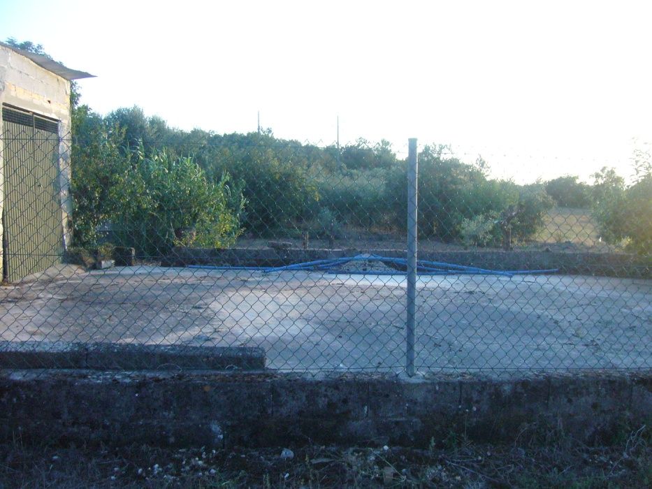 CASA c/ Terraço e c/Terreno, Arvores de Fruto e Olival