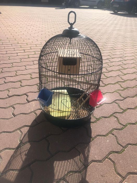 Papugi Nimfy (parka)