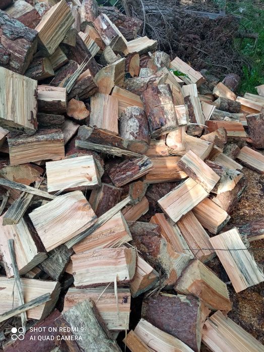 Drewno opałowe SOSNA