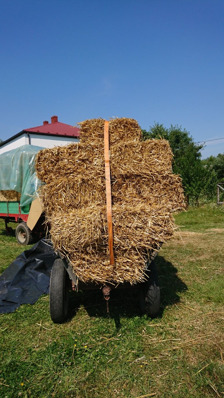 Słoma pszenna w kostkach