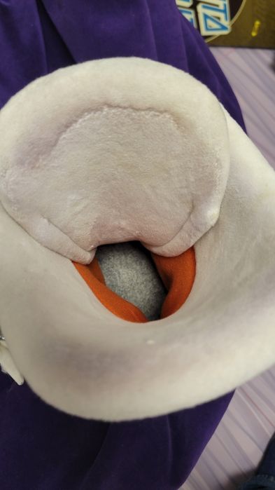 Гірськолижний комплект жіного спорядження