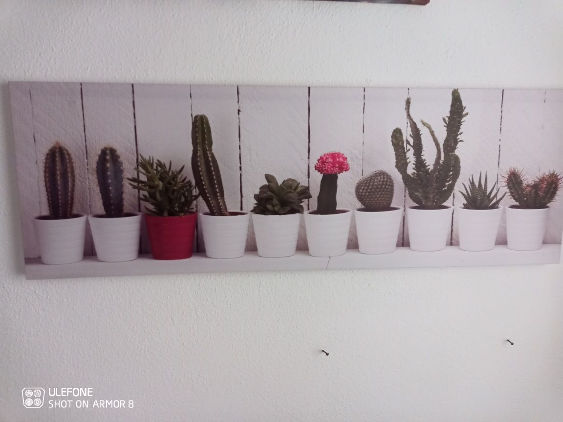 Quadros decorativos