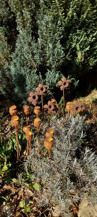 Piękna ozdoba ogrodu metalowy kwiat zardzewiały żąkil rdza industrial