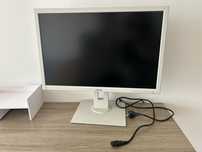 Monitor bialy Asus 24'' LED DP FullHD