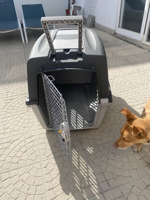 Transportadora cao Gulliver