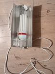 Lampa uprawowa 125 wat 2100k