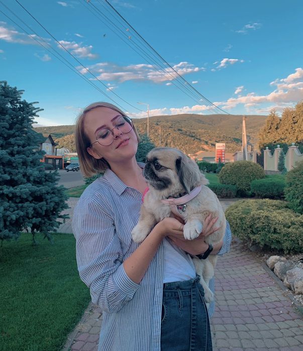 Перетримка тварин / документи для тварин / перевезення тварин