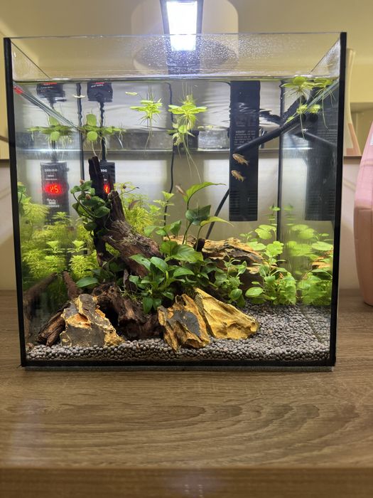 Aquário + Filtro + termostato
