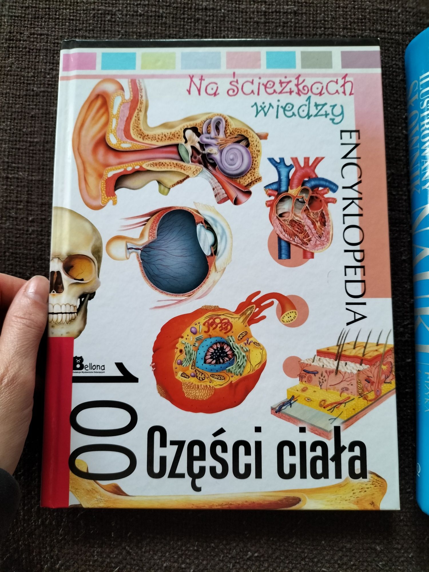 Zestaw ilustrowany słownik nauki fizyka chemia biologia+ encyklopedia