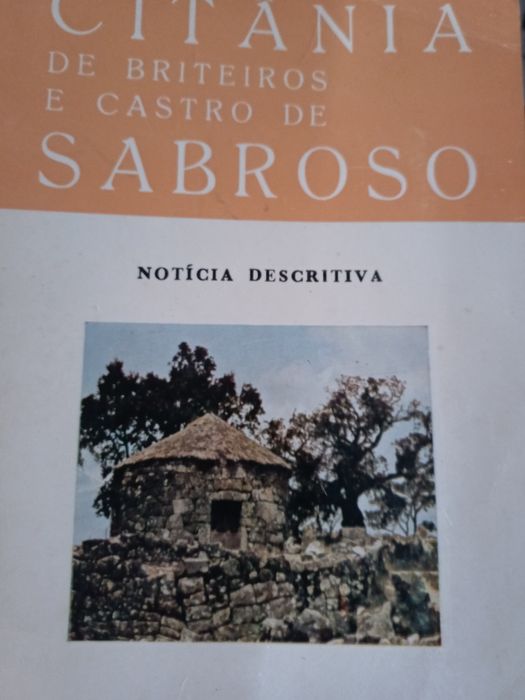 Citânia briteiros