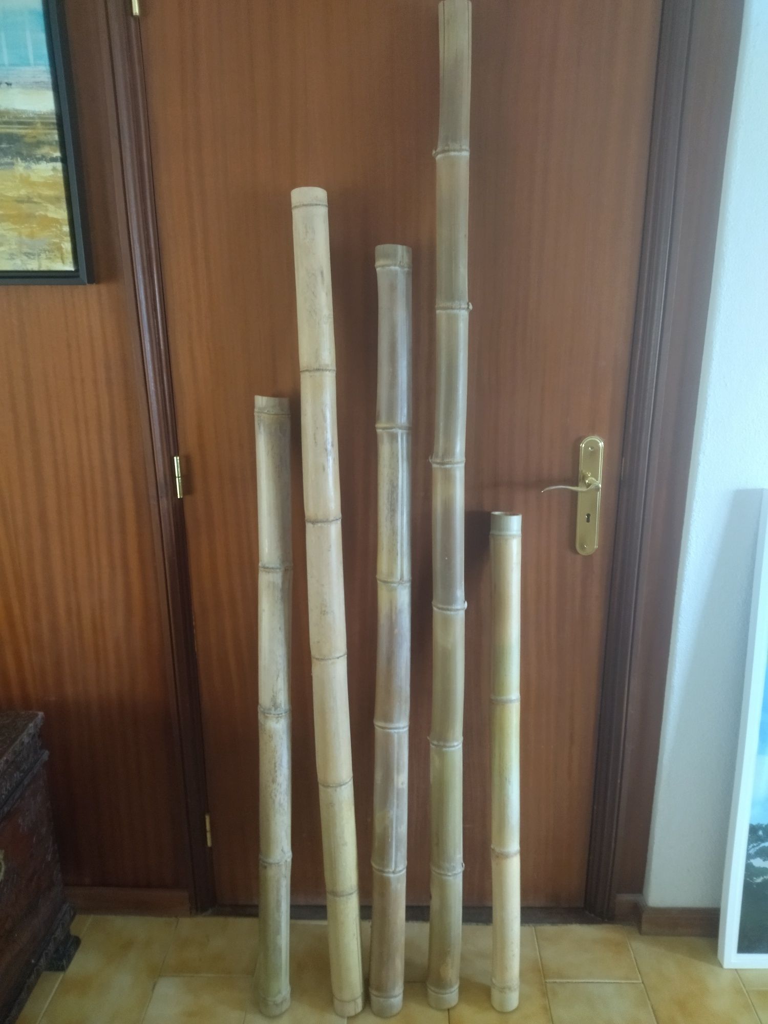 Bambu canas decorativas