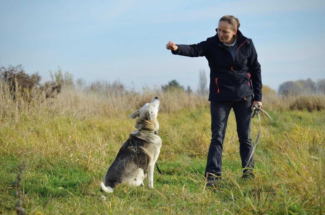 Molli - błękitnooka dama wypatruje domu!